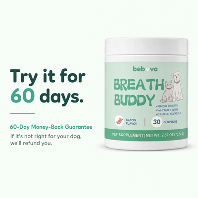Bebova Breath Buddy Dog Dental Powder for Teeth Cleaning
