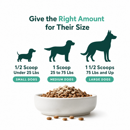 Bebova Breath Buddy Dog Dental Powder for Teeth Cleaning
